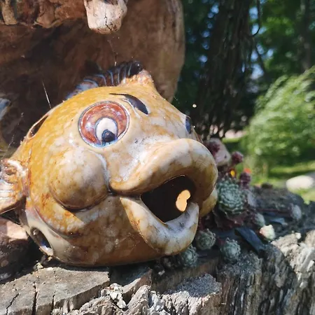Rozcestí, Z Gruntu Dobré Přespání Dolní Moravice