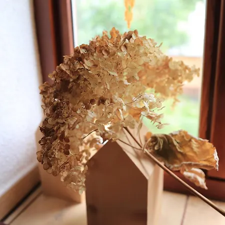 Rozcestí, Z Gruntu Dobré Přespání Apartamento *